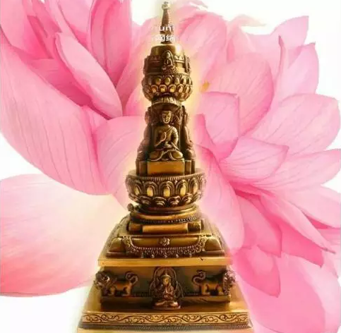 �ֽ����_��ĸҲ������