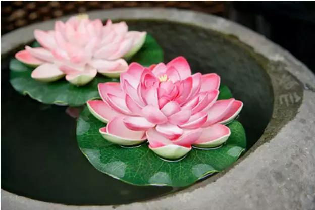 ���ɲ��Ҳ��������Ҹ�����Ҫ����