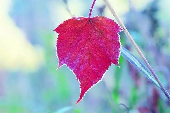 亲人临终前怎样做能让他减少痛苦? 亲人临终前怎样做能让他减少痛苦?