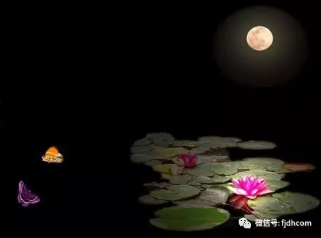 ĩ��ʱ�����ѡ����֪ʶ��