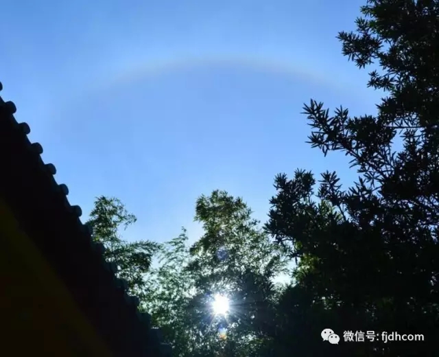 ����������˰��ˡ��������µ�����ʦ������ʵ