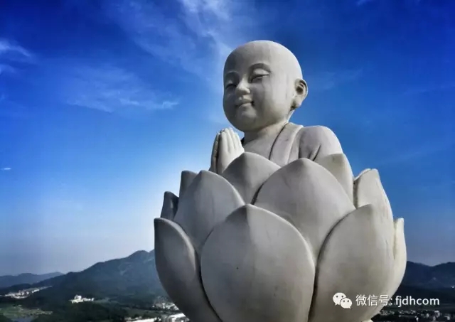 ����������˰��ˡ��������µ�����ʦ������ʵ