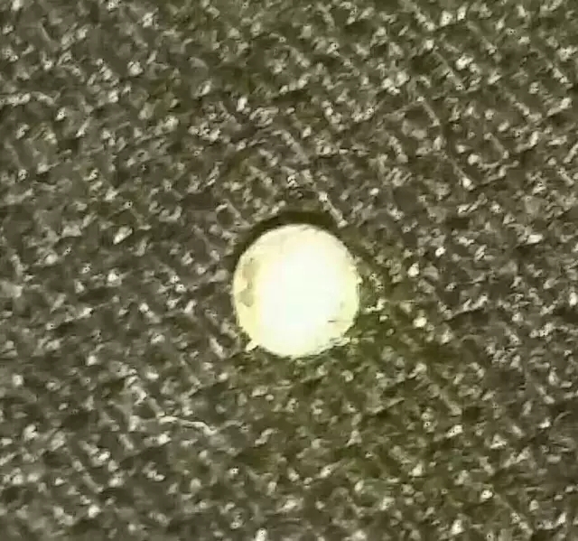 “已是莲邦彼岸人”—东林寺德亮法师往生纪实 “已是莲邦彼岸人”—东林寺德亮法师往生纪实