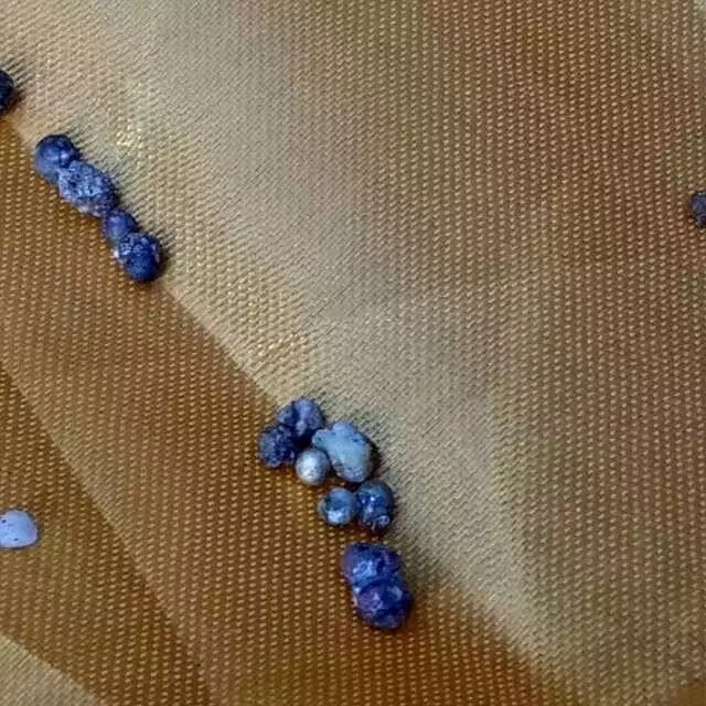 “已是莲邦彼岸人”—东林寺德亮法师往生纪实 “已是莲邦彼岸人”—东林寺德亮法师往生纪实