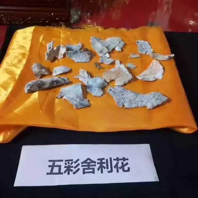 ����������˰��ˡ��������µ�����ʦ������ʵ