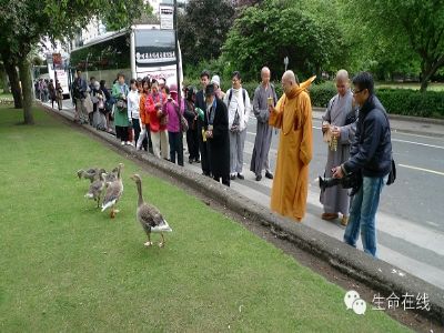 海涛法师:救命的功德 海涛法师:救命的功德