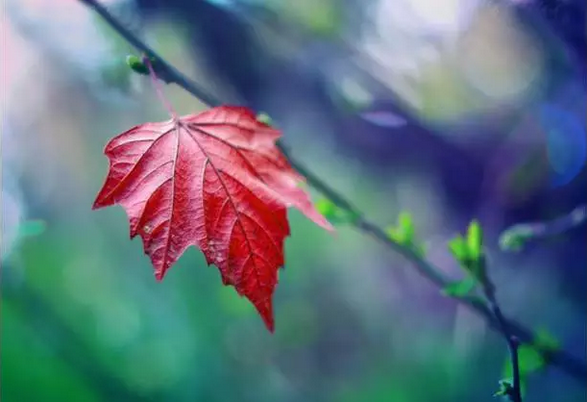 ������������ôһ������