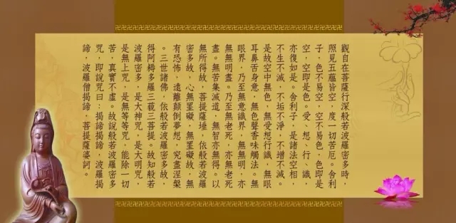 ��Ⱥ��ʦ���������ľ����İ�������