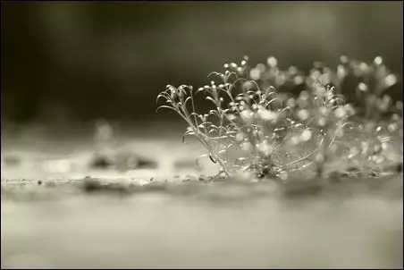 佛法宇宙观之《劫与世界》 佛法宇宙观之《劫与世界》