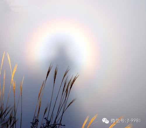 没事念佛没坏处,有事念佛有好处 没事念佛没坏处,有事念佛有好处