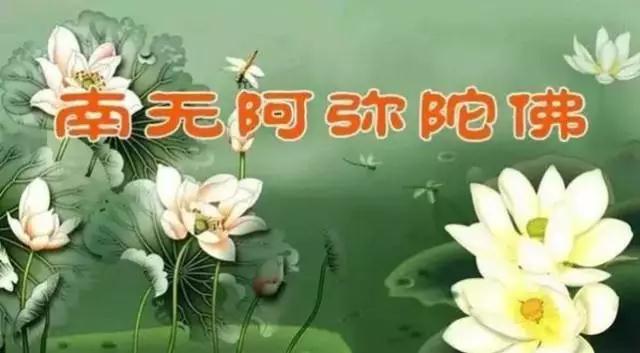 ��������·�ϵİ�����;