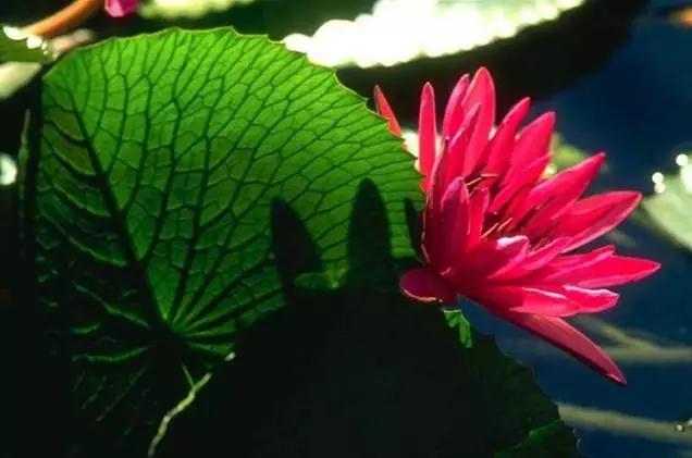 ���в���Ϊ������ĸ�������ʱ������