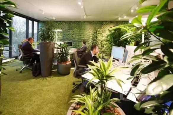 ��ΰѷ𷨾�������ְ�������