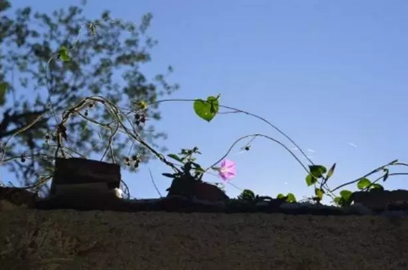 ��ζԸ��Լ���ϰ����