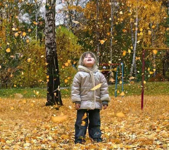 生一棵树的气 生一棵树的气