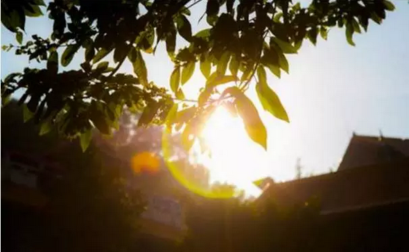 �����ͬ��绰