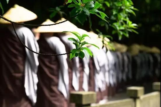 出家人为何要穿粪扫衣? 出家人为何要穿粪扫衣?