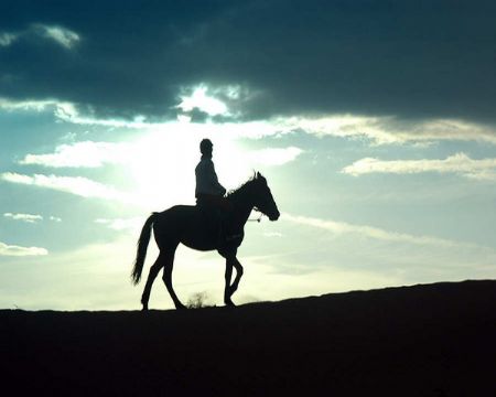 ���Գ����ؼ���ת�������Լ������µ�����