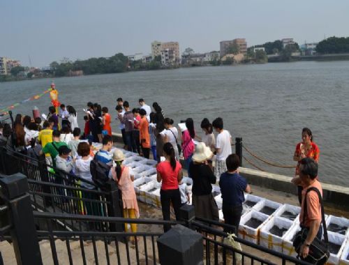 ������Ͼ�ʿ��������ת�����