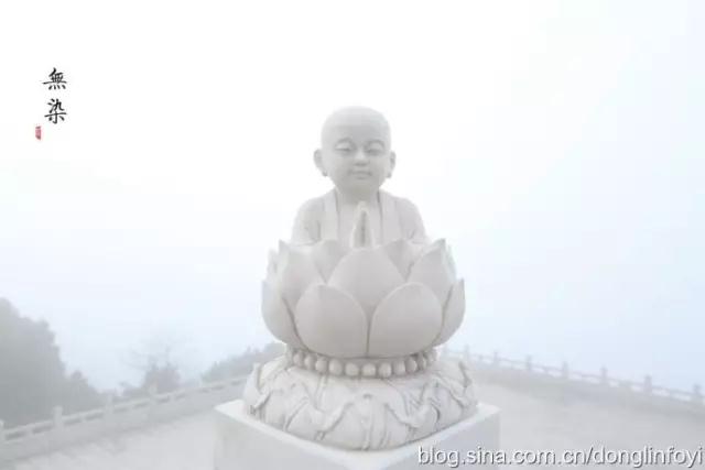 ��̥�����������̥������������