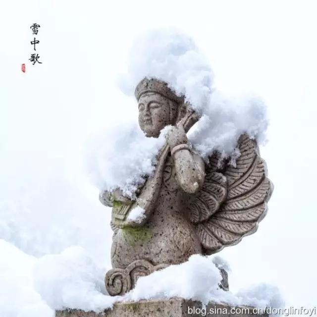 ��̥�����������̥������������