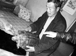 �ж������η����޹����������᲻����