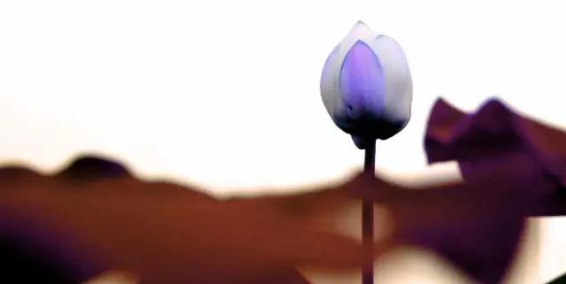 ��������ô���������