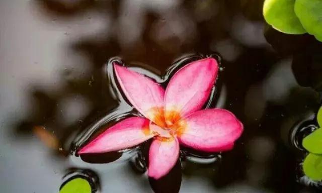 ��������ô���������