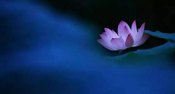 ��������ô���������