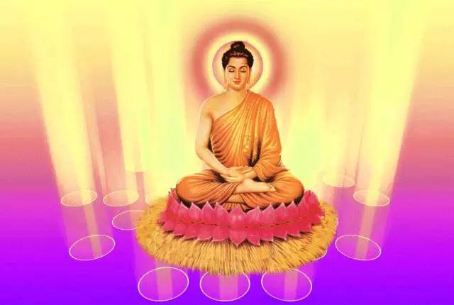 �����������Ƿ�Ͳ��������������أ�