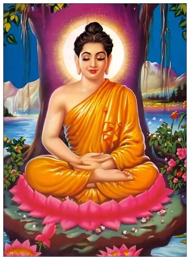 Ϊʲô���ǵĹ�������Բ�������ƶ���Σ������䱨