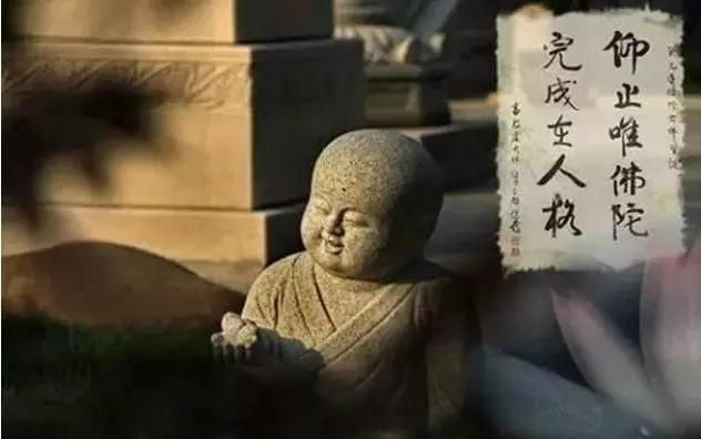 �㲻֪����������ж����