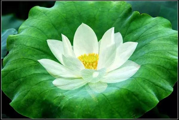 ����ÿ���˶������Լ�����֪��