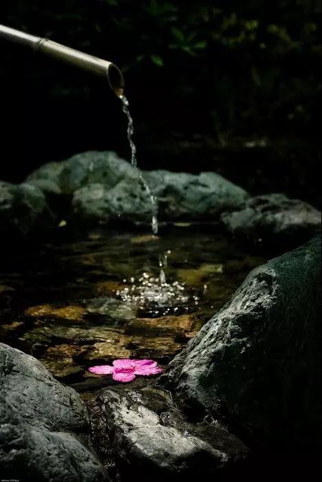 Ϊʲô�����������������ۣ�