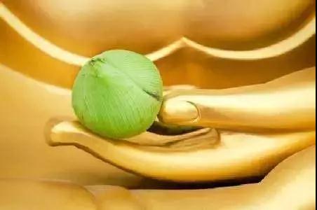 �ĸ����С���£�������Ǯ����������