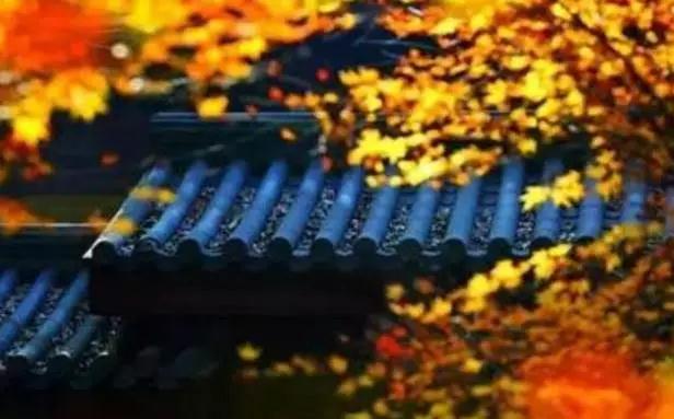 ������⡰һ�з����Ƿ𷨡���