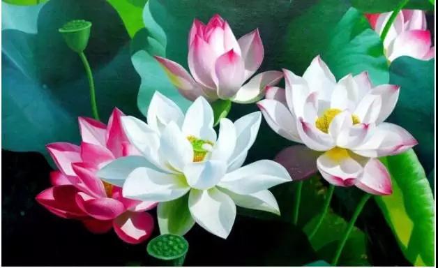 不能只欣求极乐,还要能厌离娑婆 不能只欣求极乐,还要能厌离娑婆