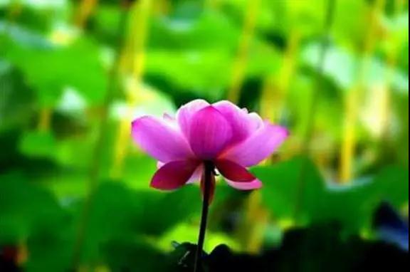 �ڼҾ�ʿ��β��ܲ���ʧ���ģ�