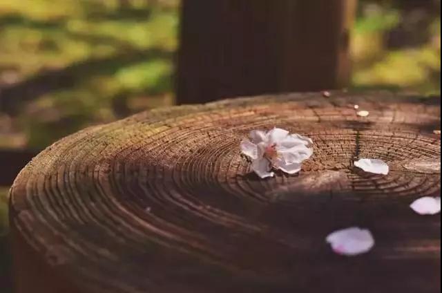 ��˵һ�з�������Ҫ�㲻ִ����