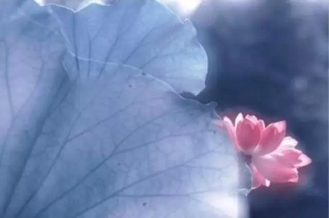 Ů��ѧ���Ͳ��ܴ������