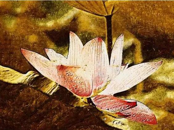 今生,只作最后一世 今生,只作最后一世