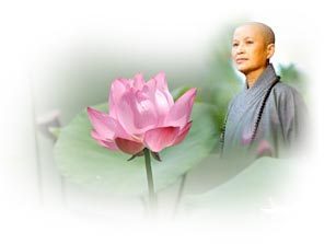 ֤�Ϸ�ʦ���������߼��£�ǧ��Ҫȥ��