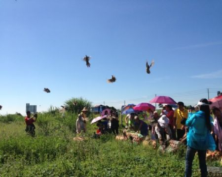 а����ʧȥ�ĸ���������ͨ������Ѹ���һأ�