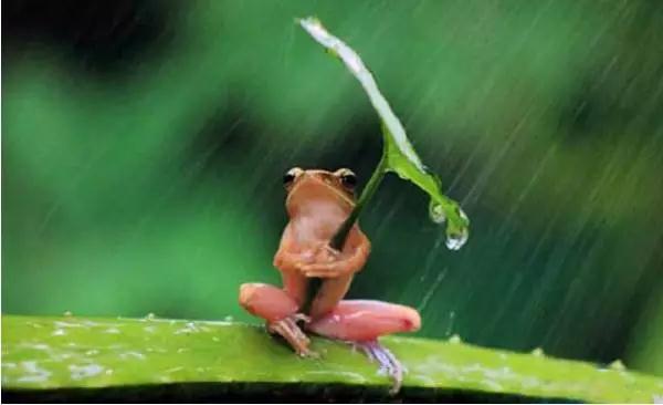 ���ͽ�����и���������