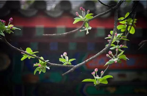 ���Ī�����Ʒ���