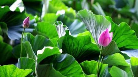 ��ô���ܻ�úõ���Ե�أ��׸�����������