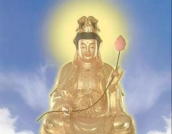 Ϊʲô����������������������