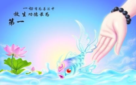 ���ߵĲпᱨӦ_�ҵ�����������ת�أ�