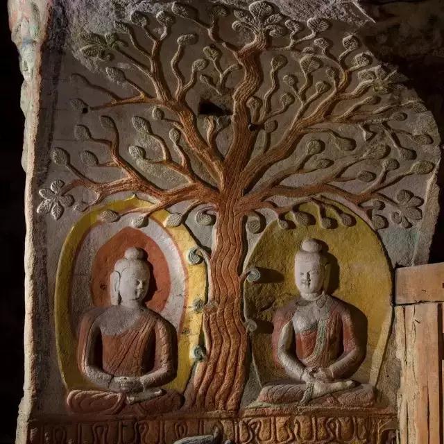 ����˵�����辭��ȫ��