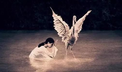 ӡ�ⷨʦ���ŷ�ȴ���������ô�죿